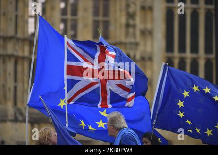 Demonstratoren versammeln sich vor dem Parlament, um gegen den Brexit zu protestieren, schwenken EU- und Unionsflaggen und ein Plakat mit der Aufschrift „Brexit is IT Worth IT?“, London, am 4. September 2018. (Foto von Alberto Pezzali/NurPhoto) Stockfoto