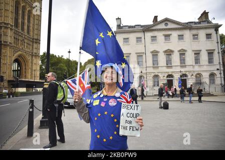 Demonstratoren versammeln sich vor dem Parlament, um gegen den Brexit zu protestieren, schwenken EU- und Unionsflaggen und ein Plakat mit der Aufschrift „Brexit is IT Worth IT?“, London, am 4. September 2018. (Foto von Alberto Pezzali/NurPhoto) Stockfoto