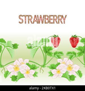 Border nahtlose Hintergrund von Erdbeeren mit Blumen und Blätter gesunde Ernährung Vektor Illustration für den Einsatz in Innenarchitektur, Kunstwerk, Geschirr, Stock Vektor