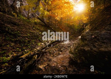 Schöner Weg nach Maly Rozsutec von Biely Potok - in der slowakischen Mala Fatra. Sonniges Herbstpanorama. Stockfoto