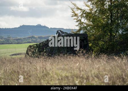 Britische Armee Land Rover Defender Wolf Krankenwagen unter Tarnnetz, Wiltshire UK Stockfoto