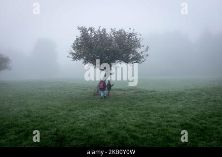 Ein junges Mädchen und ihr kleiner Bruder gehen im Nebel mit ihren Rucksäcken und stehen an einem kleinen Baum in der Mitte eines Feldes. Stockfoto