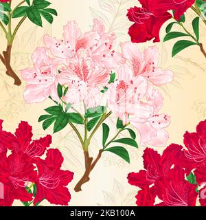 Nahtlose Textur rot und rosa Rhododendren Zweige Bergstrauch vintage Vektor botanische Illustration editierbar Hand zeichnen Stock Vektor