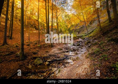 Schöner Weg nach Maly Rozsutec von Biely Potok - in der slowakischen Mala Fatra. Sonniges Herbstpanorama. Stockfoto