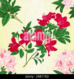 Nahtlose Textur Zweig hellrosa und roten Blumen Rhododendron Berg Strauch vintage Vektor Illustration editierbar Handzeichnen Stock Vektor