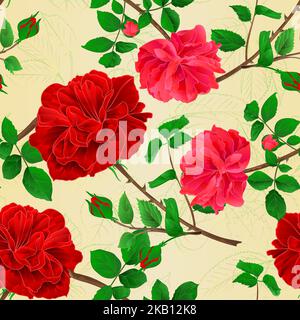 Nahtlose Textur Stiele Blume roten und rosa Rosen und Blätter vintage Vektor botanische Illustration editierbar Handzeichnen Stock Vektor