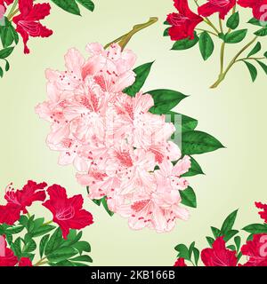 Nahtlose Textur Rhododendren Zweige mit roten und hellrosa Blüten und Blätter vintage Vektor botanische Illustration editierbare Handzeichnungen Stock Vektor