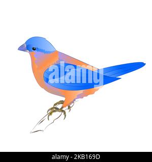 Kleine songbirdon Bluebird Drossel auf einem weißen Hintergrund vintage Vektor Illustration editierbare Hand zeichnen Stock Vektor