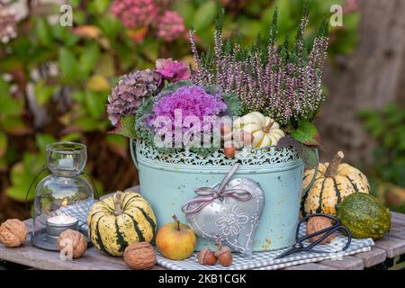 Blumenarrangement mit purpurfarbenem Zierkohl, Heidekraut- und Hortensienblüten im Vintage-Pflanzentopf Stockfoto