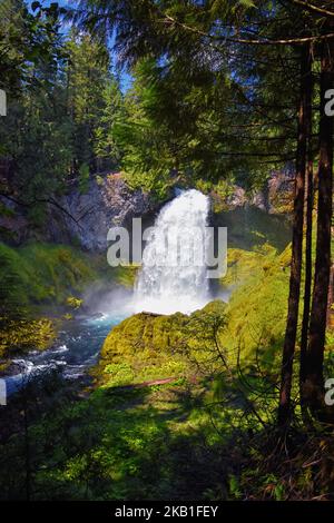 Sahalie Koosah Tamolitch fällt auf den McKenzie River, Williamette National Forest, Cascade Mountains, Oregon. USA. Stockfoto