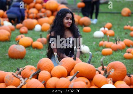 Frau, die während des Pumpkinfest in Richmond Hill, Ontario, Kanada, am 7. Oktober 2018 für ein Foto mit einem Haufen kleiner Kürbisse posiert. Der Pumpkinfest fand während des Thanksgiving-Wochenendes statt und Hunderte von Menschen nahmen daran Teil, um die Herbstsaison zu feiern. (Foto von Creative Touch Imaging Ltd./NurPhoto) Stockfoto