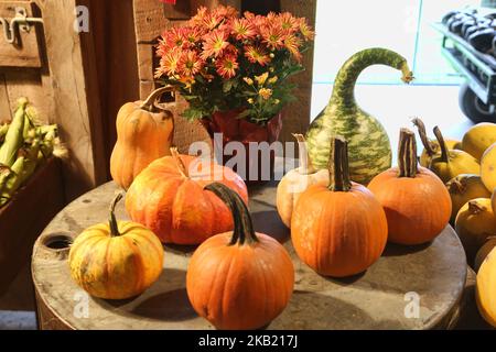 Kürbisse und Kürbisse, die am 7. Oktober 2018 während des Pumpkinfest in Richmond Hill, Ontario, Kanada, ausgestellt wurden. Der Pumpkinfest fand während des Thanksgiving-Wochenendes statt und Hunderte von Menschen nahmen daran Teil, um die Herbstsaison zu feiern. (Foto von Creative Touch Imaging Ltd./NurPhoto) Stockfoto