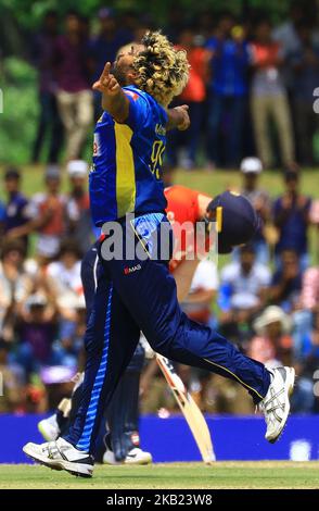 Der Sri-lankische Cricketspieler Lasith Malinga feiert, nachdem er das Wicket von Englands Cricket-Kapitän Eoin Morgan beim 2. One Day International Cricket-Spiel zwischen Sri Lanka und England im Rangiri Dambulla International Stadium, Dambulla, Sri Lanka, übernommen hat. Samstag, 13. Oktober 2018 (Foto von Tharaka Basnayaka/NurPhoto) Stockfoto