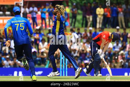 Der Sri-lankische Cricketspieler Lasith Malinga feiert, nachdem er das Wicket von Englands Cricket-Kapitän Eoin Morgan beim 2. One Day International Cricket-Spiel zwischen Sri Lanka und England im Rangiri Dambulla International Stadium, Dambulla, Sri Lanka, übernommen hat. Samstag, 13. Oktober 2018 (Foto von Tharaka Basnayaka/NurPhoto) Stockfoto