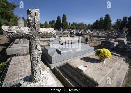 Blumen schmücken ein Grab auf dem Almudena-Friedhof in Madrid, während der Feierlichkeiten zum Allerheiligen am 1. November, einem katholischen Feiertag, an dem Menschen Friedhöfe im ganzen Land besuchen, um verstorbenen Verwandten Respekt zu erweisen. 1. November 2018 Madrid, Spanien (Foto von Oscar Gonzalez/NurPhoto) Stockfoto