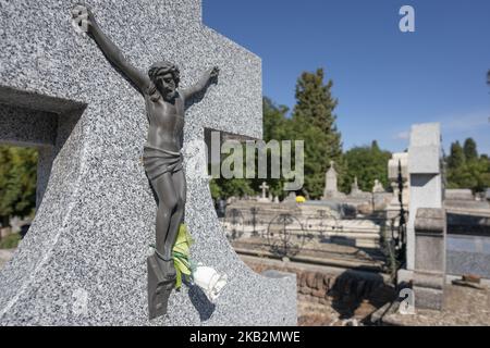 Blumen schmücken ein Grab auf dem Almudena-Friedhof in Madrid, während der Feierlichkeiten zum Allerheiligen am 1. November, einem katholischen Feiertag, an dem Menschen Friedhöfe im ganzen Land besuchen, um verstorbenen Verwandten Respekt zu erweisen. 1. November 2018 Madrid, Spanien (Foto von Oscar Gonzalez/NurPhoto) Stockfoto