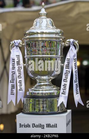 Die Trophäe im Rahmen des Irish Daily Mail FAI Cup Finales zwischen Cork City FC und Dundalk FC im Aviva Stadium in Dublin, Irland, am 4. November 2018 (Foto: Andrew Surma/NurPhoto) Stockfoto