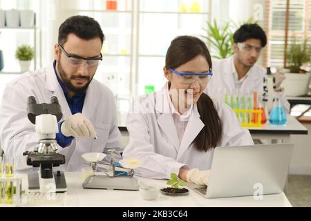 Chemieforscher analysierten die organischen Setzlinge und Inhaltsstoffe im Gleichgewicht und zeichneten sie auf dem Laptop auf. Bei der Arbeit in wissenschaftlichen Experimenten. Stockfoto