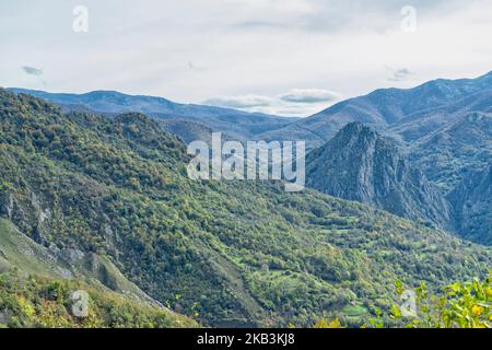 Buchenwald im Herbst in Soto de Sajambre im Nationalpark Picos de Europa in Leon, Spanien Stockfoto