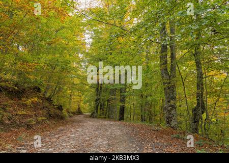 Fussgängerweg von Soto de Sajambre zur Berghütte Vegabano im Nationalpark Picos de Europa in Leon, Spanien Stockfoto