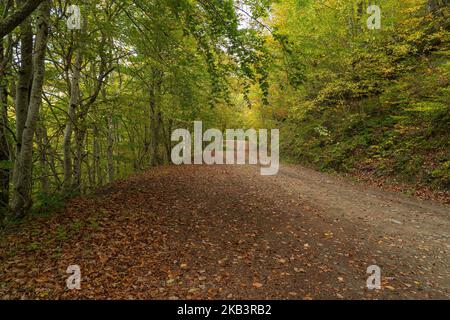 Fussgängerweg von Soto de Sajambre zur Berghütte Vegabano im Nationalpark Picos de Europa in Leon, Spanien Stockfoto