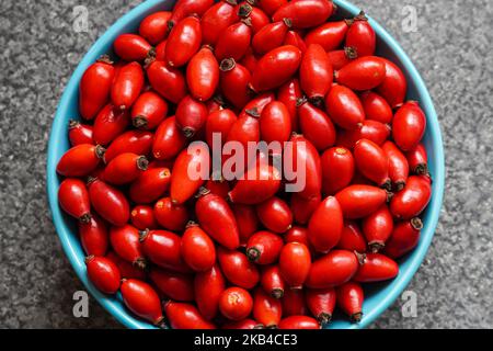 Frisch gesäubert, frische rote Rosenhüften, Beeren in einer Schüssel Stockfoto