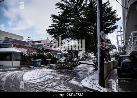 Das Wetterphänomen 'Tilemachos' mit Schneefall sogar am Strand von Nea Artaki / Chalkida auf der Insel Euboea in Griechenland am 8. Januar 2019. (Foto von Wassilios Aswestopoulos/NurPhoto) Stockfoto