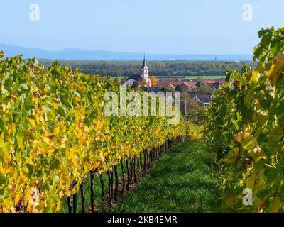 Das Dorf Berrwiller in Frankreich im Tal der Weinberge entlang der elsässischen Weinstraße. Stockfoto