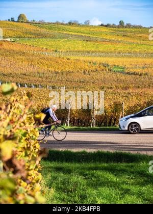 Orschwihr, Frankreich - 10. Oktober 2022: Weinberge entlang der berühmten Weinstraße im Elsass, Frankreich Stockfoto