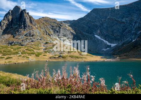 Wind bestäubt Blumen weht im Wind vor der Attraktion sieben Seen, an den Rila Mountains Seen. Ein sonniger, klarer Tag mit bewölktem Himmel, Bulg Stockfoto