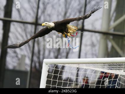 Kayla, das Glatzenadler-Maskottchen des Crystal Palace, während der vierten Runde des FA Cup zwischen Crystal Palace und Tottenham Hotspur im Selhurst Park-Stadion in London, England am 27. Januar 2019. (Foto von Action Foto Sport/NurPhoto) Stockfoto