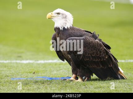 Kayla, das Glatzenadler-Maskottchen des Crystal Palace, während der vierten Runde des FA Cup zwischen Crystal Palace und Tottenham Hotspur im Selhurst Park-Stadion in London, England am 27. Januar 2019. (Foto von Action Foto Sport/NurPhoto) Stockfoto