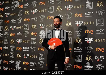 Der spanische Regisseur Rodrigo Sorogoyen posiert auf dem roten Teppich bei der Goya Cinema Awards Ceremony 33. 2019 am 2.. Februar 2019 im FIBES Konferenz- und Ausstellungszentrum in Sevilla. (Foto von Juan Carlos Lucas/NurPhoto) Stockfoto