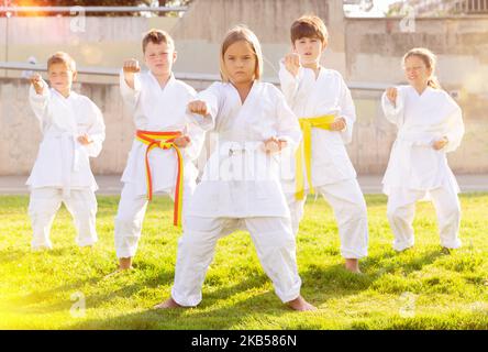 Tweenagers meistern Karate-Bewegungen auf grünem Rasen in der Sportschule Stockfoto