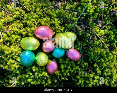 Nahaufnahme von glänzenden ostereiern in Folie auf dem Waldboden, die im Sonnenlicht leuchten Stockfoto