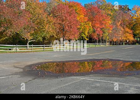 Üppige Herbstfarben spiegeln sich in einer Wasserpfütze auf dem Parkplatz des Cheesequake State Park in Matawan, New Jersey -01 Stockfoto