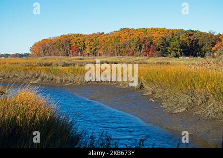 Herbstlaub betont den schmalen Bach, der im Cheesequake State Park in Matawan, New Jersey -09, durch das Sumpfgebiet schlängelt Stockfoto