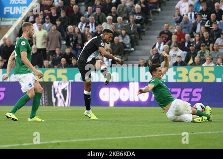 Joelinton von Newcastle United dreht während des Premier League-Spiels zwischen Newcastle United und Brighton und Hove Albion am Samstag, 21.. September 2019, im St. James's Park, Newcastle. (Foto von Steven Hadlow/MI News/NurPhoto) Stockfoto