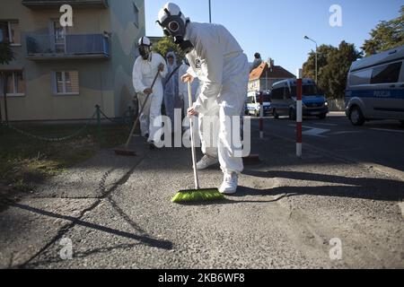 Mitglieder der rechtsextremen Gruppe Mlodziez Wszechpolska reinigen die Straßen nach der LGBT-Parade in Kalisz, Polen, am 22. September 2019. (Foto von Maciej Luczniewski/NurPhoto) Stockfoto