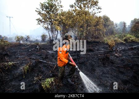 Ein Feuerwehrmann löscht das Feuer auf verbranntem Moorland und Wald in Palangka Raya, Provinz Zentralkalimantan, Indonesien, 1. Oktober 2019. Zur Bekämpfung der Brände in Sumatra und Borneo, die in den Nachbarländern Singapur und Malaysia zu dichtem Dunst geführt haben, wurden Feuerwehrleute, Militärpersonal und Hubschrauber eingesetzt. (Foto von Andrew Gal/NurPhoto) Stockfoto