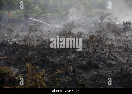 Ein Feuerwehrmann löscht das Feuer auf verbranntem Moorland und Wald in Palangka Raya, Provinz Zentralkalimantan, Indonesien, 1. Oktober 2019. Zur Bekämpfung der Brände in Sumatra und Borneo, die in den Nachbarländern Singapur und Malaysia zu dichtem Dunst geführt haben, wurden Feuerwehrleute, Militärpersonal und Hubschrauber eingesetzt. (Foto von Andrew Gal/NurPhoto) Stockfoto