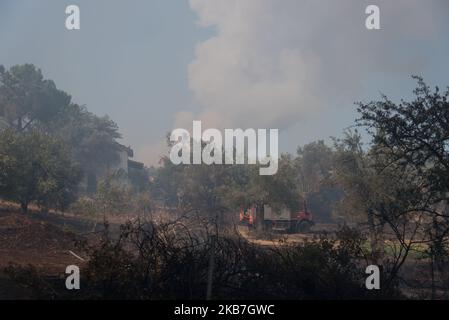 Felder um Makrymallis Dorf brennen, in Euboea, Griechenland, am 14. August 2019. (Foto von Wassilios Aswestopoulos/NurPhoto) Stockfoto