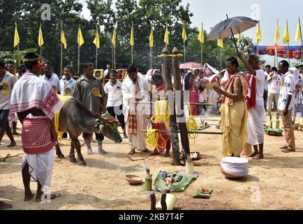 Priester führt am 6. Oktober 2019 im Buri Goshani Durga Tempel im Dorf Rani am Stadtrand von Guwahati, Assam, Indien, Rituale vor einem Büffelopfer durch. - Büffel, Ziegen, Enten und Tauben werden in Guwahati zum Fest der 'Durga Puja' geopfert. Das Opfer lebender Tiere wird durchgeführt, um die Göttin Durga zu besänftigen und der Gemeinschaft Segen zu schenken, trotz der Proteste von Tierrechtsgruppen. (Foto von David Talukdar/NurPhoto) Stockfoto