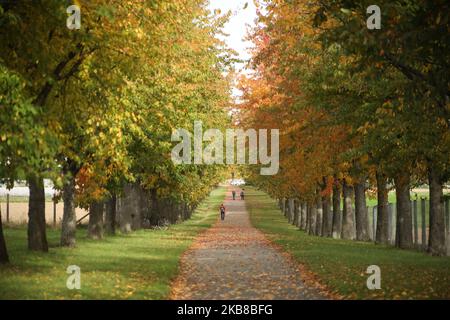 Menschen gehen an einem sonnigen Tag am 15. Oktober 2019 in Stuttgart (Foto: Ab/NurPhoto) Stockfoto