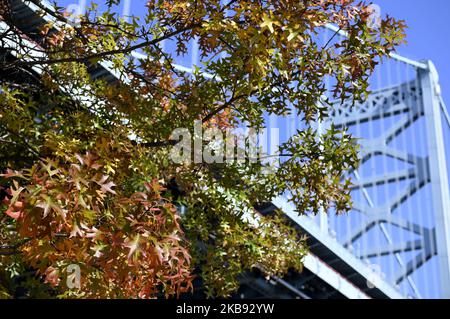 Die Benjamin Franklin Brücke über den Delaware River vom Race Street Pier aus gesehen, in Philadelphia, PA, am 23. Oktober 2019. (Foto von Bastiaan Slabbers/NurPhoto) Stockfoto