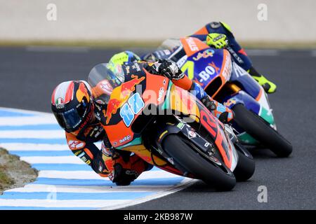 Jorge Martin aus Spanien fährt das Red Bull KTM Ajo während des Trainings Moto2 vor der australischen MotoGP auf dem Phillip Island Grand Prix Circuit am 26. Oktober 2019 in Phillip Island, Australien (Foto: Morgan Hancock/NurPhoto) Stockfoto