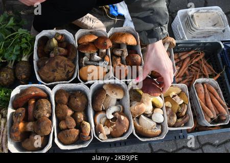 Ein lokaler Pilzverkäufer mit Körben von Bay Bolete (Imleria badia), Penny Buns, Boletus, gepunktetem Stängel Bolete (Neoboletus luridiformis), Suillus (Basidiomycete-Pilze) und anderen Pilzen, die auf einem grünen Markt in Rzeszow gesehen werden. In Polen ist der Herbst für Pilze, und jedes Jahr, von September bis November, wird das Pilzsammeln zu einem nationalen Hobby. Der extrem reichliche Pilzausbruch in diesem Jahr hat dazu geführt, dass die Wälder von Podkarpackie in den letzten Wochen von Pilzsammlern aus Rumänien besucht wurden. Am Mittwoch, den 30. Oktober 2019, in Rzeszow, Polen. (Foto von Artur Widak/NurPhoto) Stockfoto