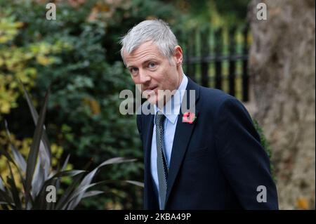 Staatsminister Zac Goldsmith nimmt am 05. November 2019 an der Kabinettssitzung in der Downing Street 10 in London, England, Teil. Das Parlament wird morgen vor einer Parlamentswahl am 12. Dezember 2019 aufgelöst. (Foto von Wiktor Szymanowicz/NurPhoto) Stockfoto