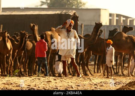 Ein indischer Kamelhändler kommt mit seiner Herde während der jährlichen Rindermesse in Pushkar, im westlichen Bundesstaat Rajasthan, Indien, am 5. November 2019 an. Pushkar ist ein beliebter Hindu-Wallfahrtsort, der auch von ausländischen Touristen frequentiert wird, die in die Stadt für ihre jährliche Viehmarkt kommen. (Foto von STR/NurPhoto) Stockfoto