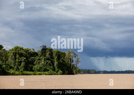 Saint-Laurent-du-Maroni, Frankreich, 3. Juli 2019. Die Vegetation des Amazonas-Waldes vom Maroni-Fluss nicht weit von St. Laurent. (Foto von Emeric Fohlen/NurPhoto) Stockfoto